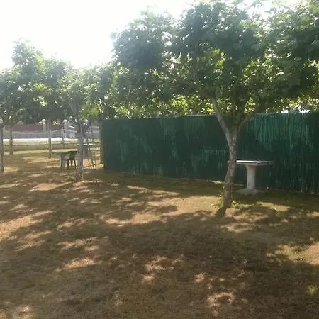 Terra Galega *